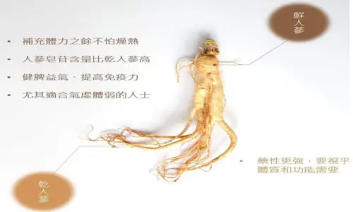 Comparison of fresh ginseng (鮮人蔘) and dried ginseng (乾人蔘) benefits